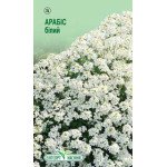 Арабіс білий /0,05 г/ *ЕлітСорт*