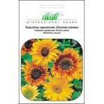 Соняшник Осіннє сяйво суміш /1 г/ *Професійне насіння*