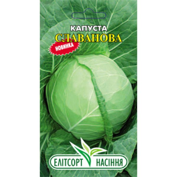 Насіння капусти білоголової Славанова /1 г/ *ЕлітСорт*