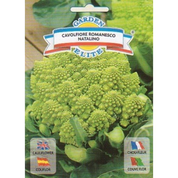 Насіння капусти цвітної Романеско Наталіно /2,5 г/ *Galassi sementi*