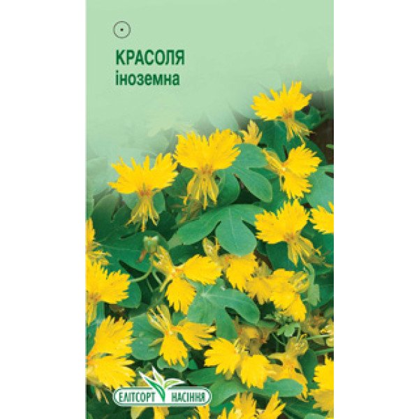 Насіння красолі іноземна /5 насінин/ *ЕлітСорт*