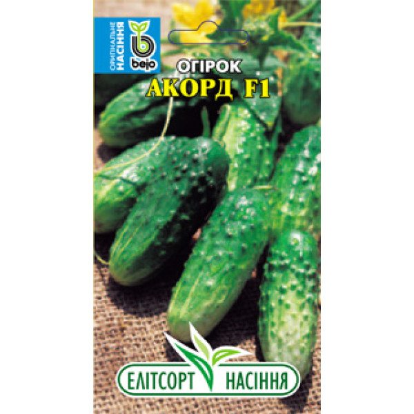 Насіння огірка Акорд F1 /15 насінин/ *ЕлітСорт*