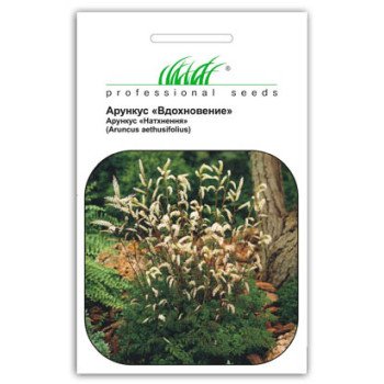 Арункус Вдохновение /30 семян/ *Профессиональные семена*