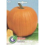 Гарбуз Квінтале /3,5 г/ *Galassi sementi*