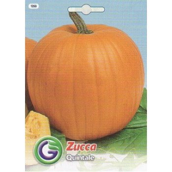 Гарбуз Квінтале /3,5 г/ *Galassi sementi*