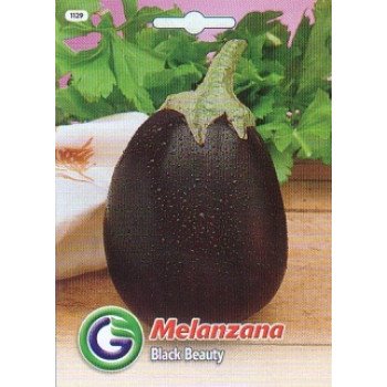 Баклажан Блек б'юті /2,2 г/ *Galassi sementi*