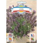 Лаванда /0,5 г/ *Galassi sementi*