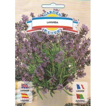 Лаванда /0,5 г/ *Galassi sementi*