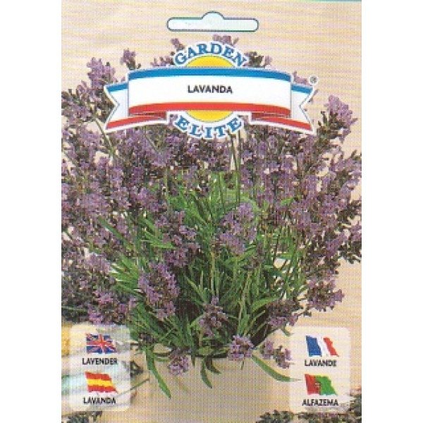 Насіння лаванди /0,5 г/ *Galassi sementi*