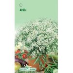 Анис /0,5 г/ *ЭлитСорт*