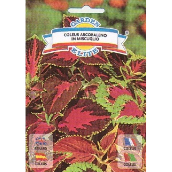 Колеус Веселка суміш /0,25 г/ *Garden Elite*