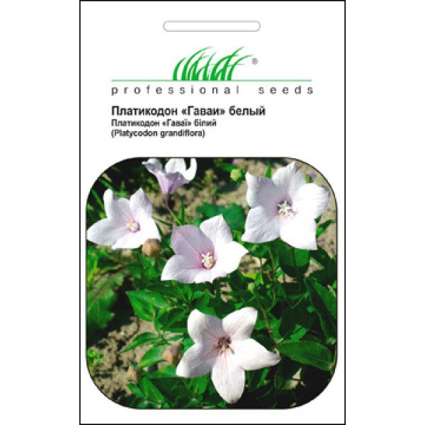 Семена платикодона Гаваи белого /0,1 г/ *Профессиональные семена*