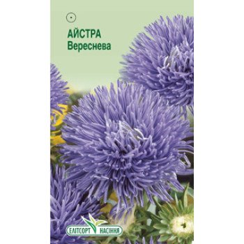 Астра Вереснева /0,2 г/ *ЭлитСорт*