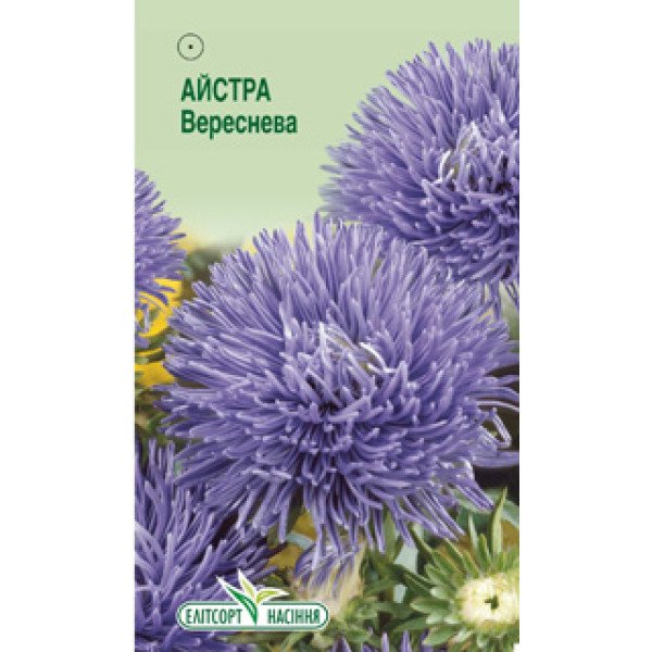 Насіння айстри Вереснева /0,2 г/ *ЕлітСорт*