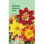 Георгина воротничковая смесь /0,1 г/ *ЭлитСорт*