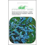 Кермек синий /0,1 г/ *Профессиональные семена*