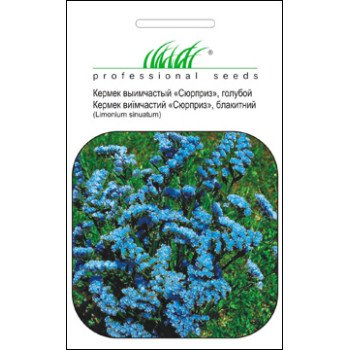 Кермек синій /0,1 г/ *Професійне насіння*