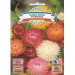 Геліхризіум махровий суміш /0,5 г/ *Garden Elite*