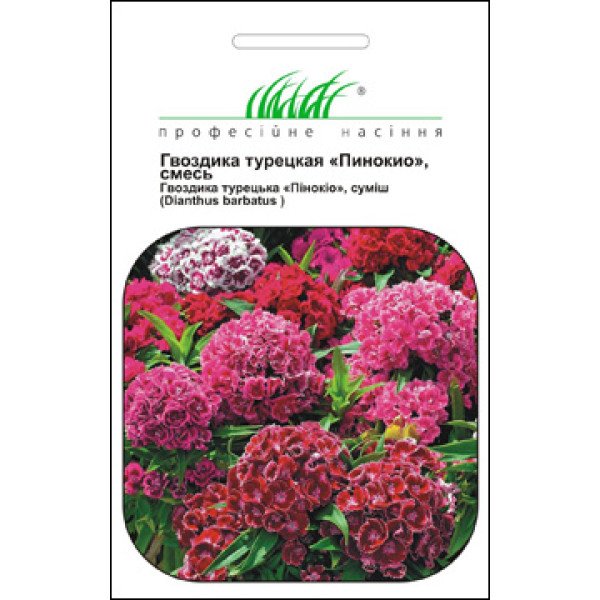 Насіння гвоздики турецької Пінокіо суміш /0,2 г/ *Професійне насіння*