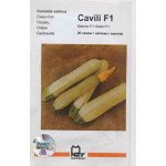 Кабачок Кавили F1 /10 семян/ *АгроПак*