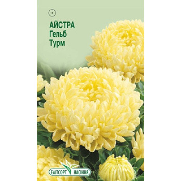 Насіння айстри Гельб Турм /0,2 г/ *ЕлітСорт*