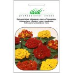 Кальцеолярия Чародейка F2 смесь /0,005 г/ *Профессиональные семена*