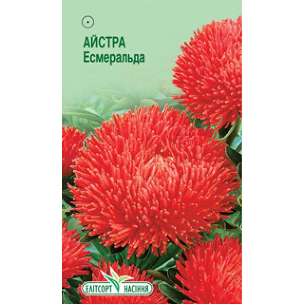 Насіння айстри Есмеральда /0,2 г/ *ЕлітСорт*