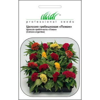Целозия гребенчатая Пижон смесь /0,3 г/ *Профессиональные семена*