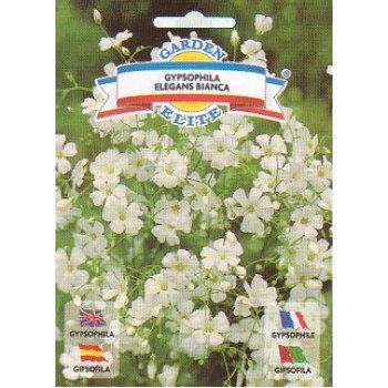Гіпсофіла елегантна біла /2 г/ *Garden Elite*