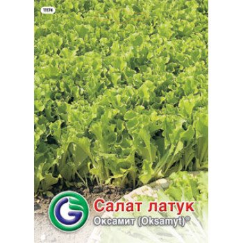 Салат Оксамит /9 г/ *Galassi sementi*