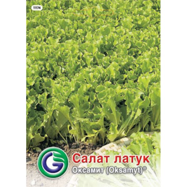 Семена салата Оксамит /9 г/ *Galassi sementi*
