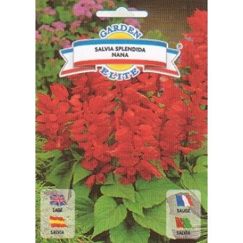 Шалфей карликовый Роскошный /0,3 г/ *Garden Elite*