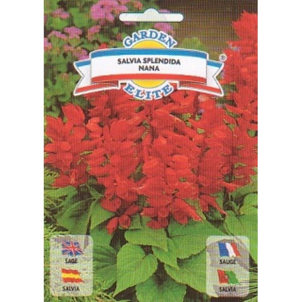 Шавлія карликова Розкішна /0,3 г/ *Garden Elite*