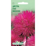 Астра Гала малиновая /10 семян/ *ЭлитСорт*