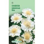 Скабиоза кавказская белая /10 семян/ *ЭлитСорт*
