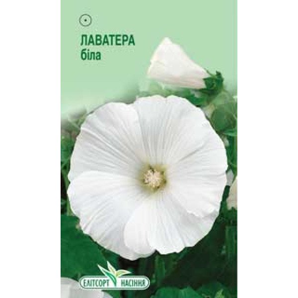 Насіння лаватери білої /0,5 г/ *ЕлітСорт*