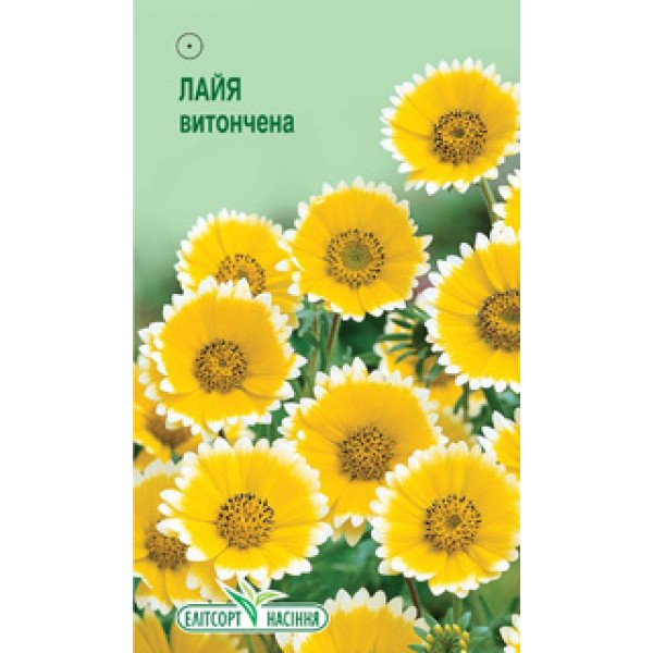 Насіння лайї витонченої /0,1 г/ *ЕлітСорт*