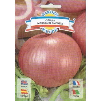 Лук Морада де ампоста /4 г/ *Galassi sementi*