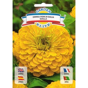 Цинія махрова Квітка Даліди жовта /1 г/ *Garden Elite*