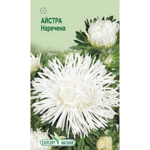 Насіння айстри Наречена /0,2 г/ *ЕлітСорт*