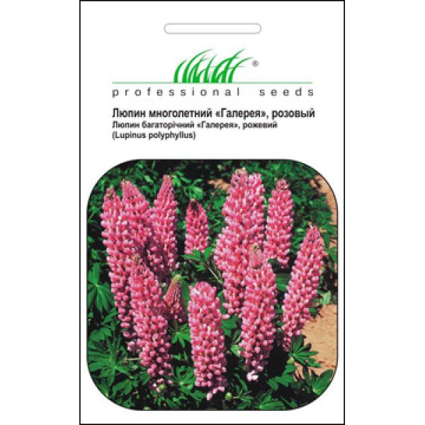 Семена люпина Фестиваль розовый /0,2 г/ *Профессиональные семена*