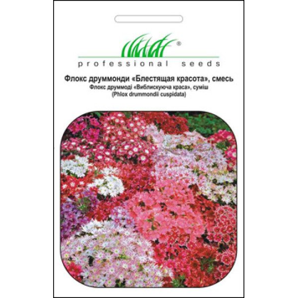 Насіння флокса Виблискуча краса суміш /0,2 г/ *Професійне насіння*
