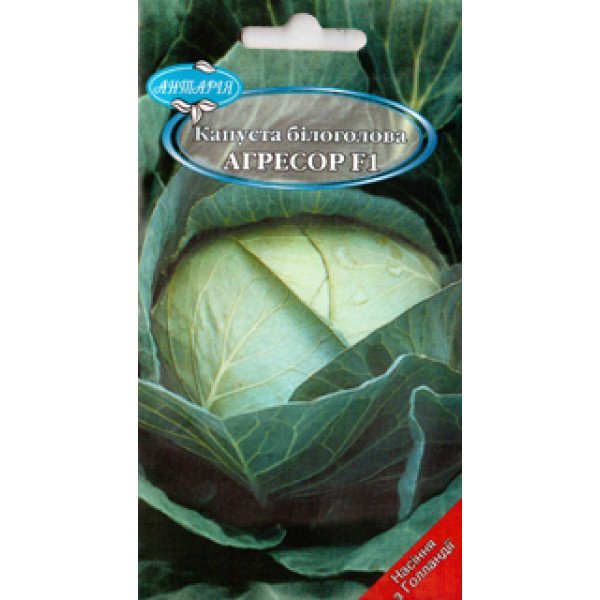 Насіння капусти білокачанної Агресор F1 /30 насінин/ *Антарія*