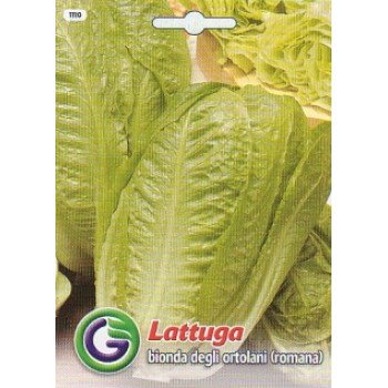 Салат-ромен Бйонда деглі ортолані /6 г/ *Galassi sementi*
