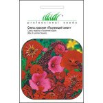 Смесь Пылающий закат /0,5 г/ *Профессиональные семена*