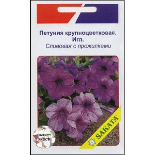 Петунія Ігл сливова з прожилками /20 насінин/ *АгроПак*