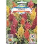 Целозия перистая смесь /0,6 г/ *Garden Elite*