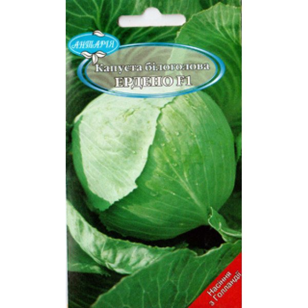 Насіння капусти білокачанної Ердено F1 /30 насінин/ *Антарія*