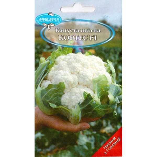 Насіння капусти цвітної Кортес F1 /30 насінин/ *Антарія*