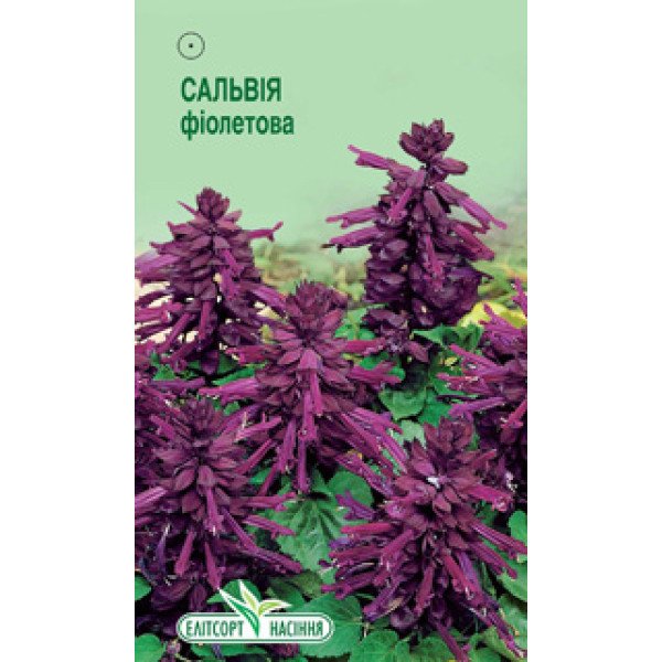 Насіння сальвії блискучої фіолетової /0,1 г/ *ЭлитСорт*